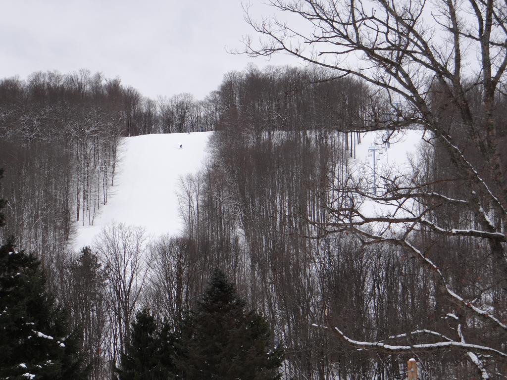 Edelweiss Ski Lodge إليكوتفيل المظهر الخارجي الصورة