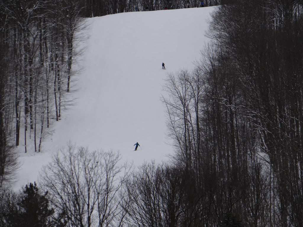 Edelweiss Ski Lodge إليكوتفيل المظهر الخارجي الصورة